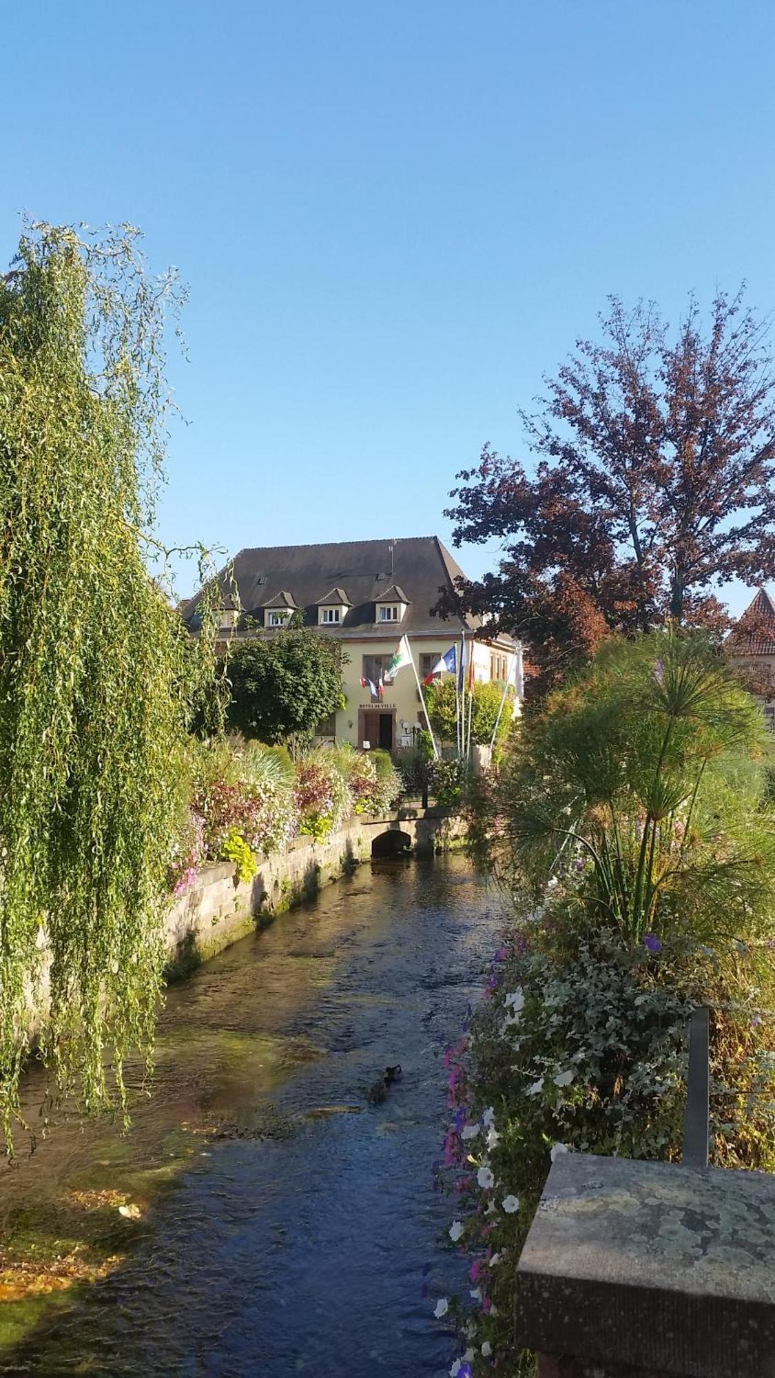 Meubles Du 25 N3 Studio 1Er Etage Niederbronn-les-Bains Exterior foto